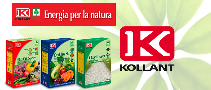 kollant-concime-natura-energia-offerta