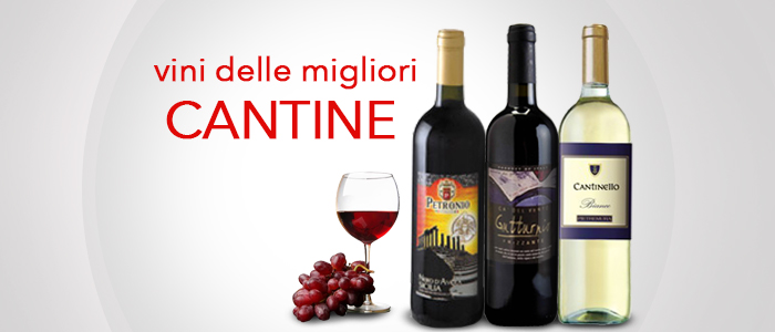 Vini delle migliori cantine italiane