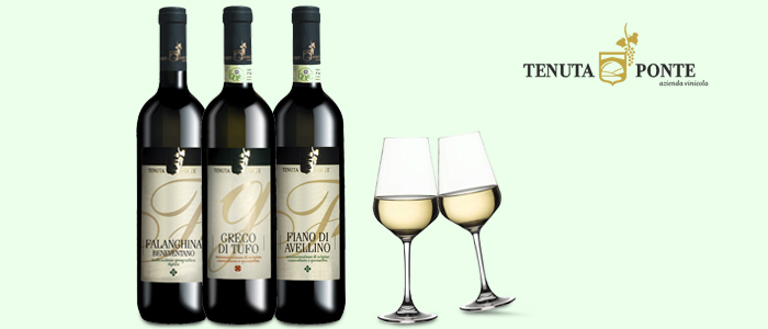 Tenuta Ponte: Vini Campani