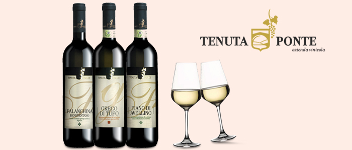 Tenuta Ponte: vini campani