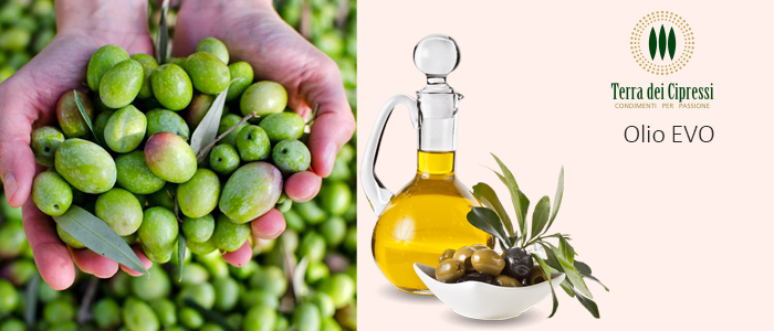 Olio Terra dei Cipressi: EVO e Monocultivar