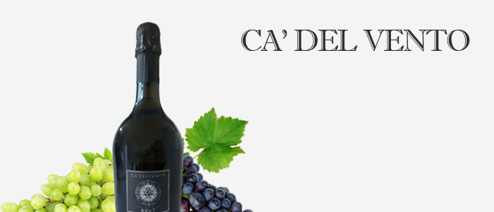 Ca' del Vento: vini piacentini