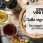 Speciale Vini d'Italia: dalla vigna alla tavola