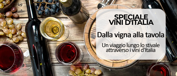 Speciale Vini d'Italia: dalla vigna alla tavola